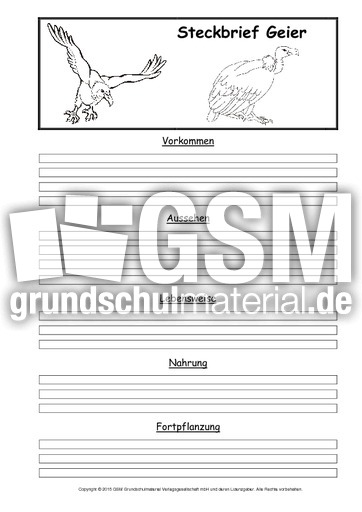Steckbriefvorlage-Geier.pdf